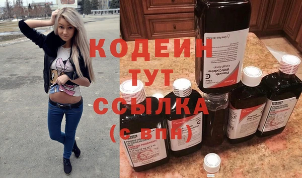 сатива Новозыбков