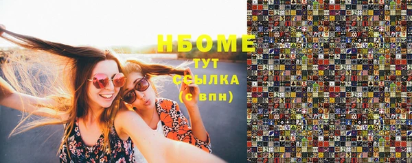 сатива Новозыбков